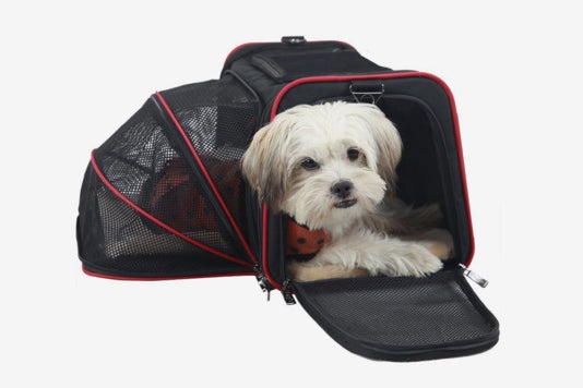 Dog in the Petsfit Expandable Travel Dog Carrier.